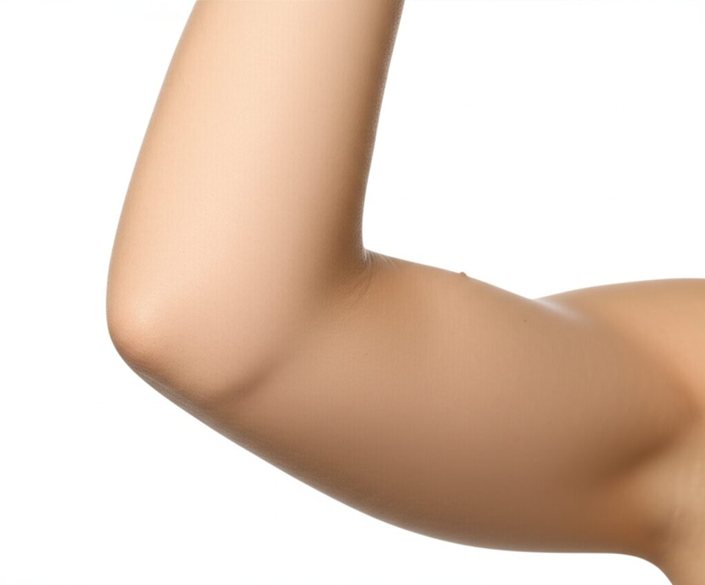 섹션 5 이미지